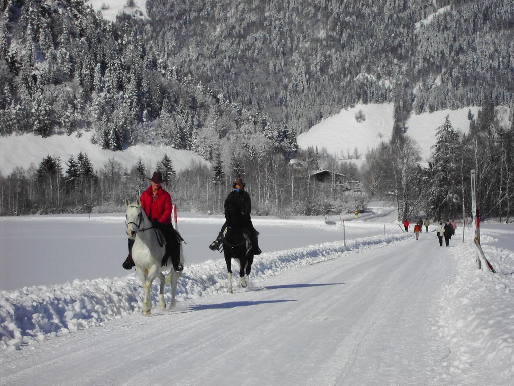 Bergheim Komfort Ferienwohnungen Walchsee Exteriör bild