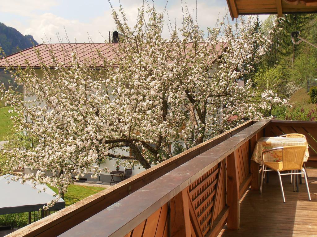 Bergheim Komfort Ferienwohnungen Walchsee Exteriör bild