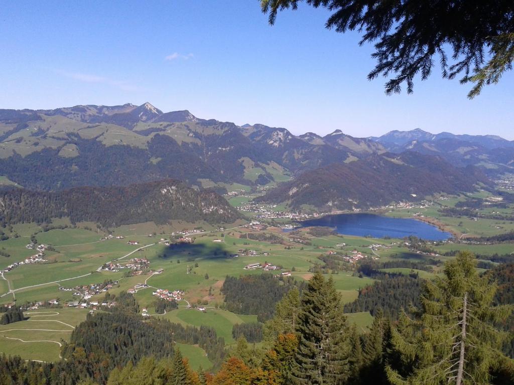 Bergheim Komfort Ferienwohnungen Walchsee Exteriör bild